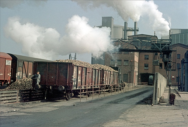 Foto:: Warburger Zuckerfabrik Lok 2 / Warburg / 25.10.1975 (Foto,Fotos,Bilder,Bild,)