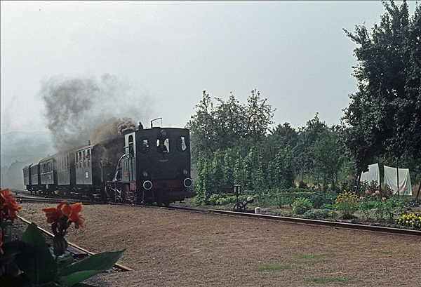 Foto:: Badenia 28 / Oberachern / 15.08.1976 (Foto,Fotos,Bilder,Bild,)