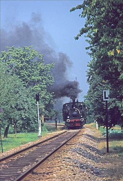 Foto:: Badenia 28 / Oberachern / 15.08.1976 (Foto,Fotos,Bilder,Bild,)