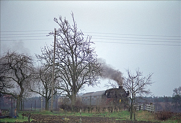Foto:: DB 042 096-8 / Tecklingen / 20.03.1977 (Foto,Fotos,Bilder,Bild,)