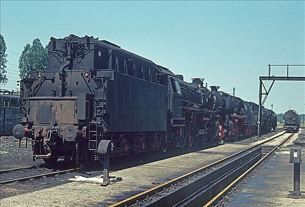 Foto:: abgestellte Dampfloks / Rheine / 04.07.1977 (Foto,Fotos,Bilder,Bild,)