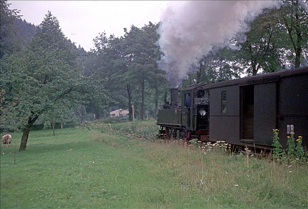 Foto:: DR 99 1590-1 / Joehstadt - Wolkenstein / August 1977 (Foto,Fotos,Bilder,Bild,)