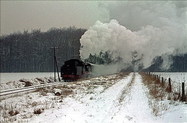 Foto:: EK 24 009 / Muenster / 12.02.1978 (Foto,Fotos,Bilder,Bild,)