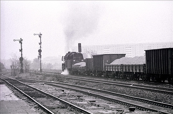 Foto:: DR 50.0 / Berlin / 15.05.1978 (Foto,Fotos,Bilder,Bild,)