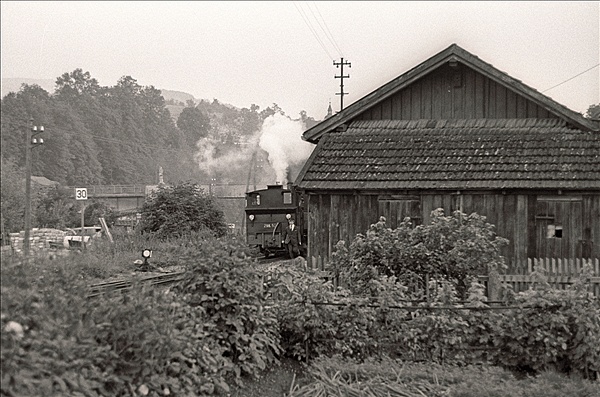 Foto:: OeBB 298.56 / Gruenburg / 24.07.1978 (Foto,Fotos,Bilder,Bild,)