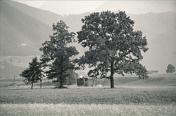 Foto:: OeBB 298.51 / Leonstein / 25.07.1978 (Foto,Fotos,Bilder,Bild,)