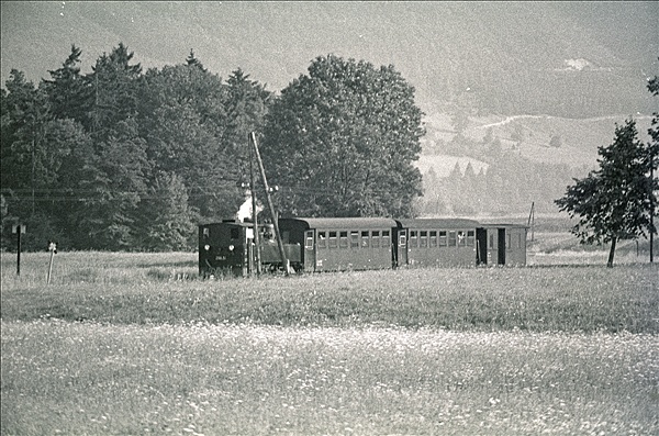 Foto:: OeBB 298.51 / Leonstein / 25.07.1978 (Foto,Fotos,Bilder,Bild,)