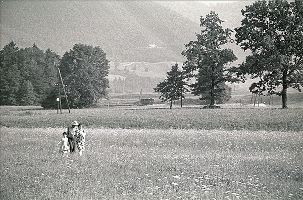 Foto:: OeBB 298.52 / Leonstein / 25.07.1978 (Foto,Fotos,Bilder,Bild,)
