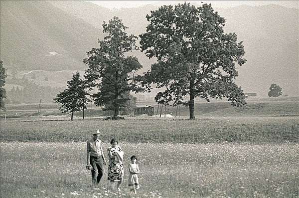 Foto:: OeBB 298.52 / Leonstein / 25.07.1978 (Foto,Fotos,Bilder,Bild,)