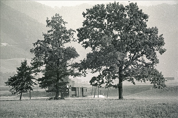 Foto:: OeBB 298.52 / Leonstein / 25.07.1978 (Foto,Fotos,Bilder,Bild,)