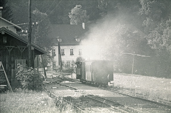 Foto:: OeBB 298.52 / Leonstein / 25.07.1978 (Foto,Fotos,Bilder,Bild,)