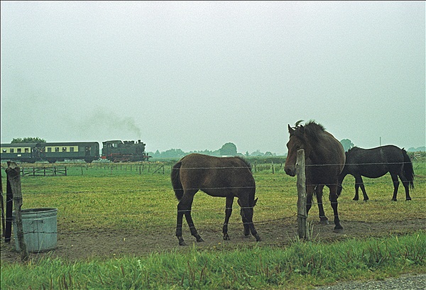Foto:: VSM4 / Apeldoorn - Loenen / 10.09.1978 (Foto,Fotos,Bilder,Bild,)