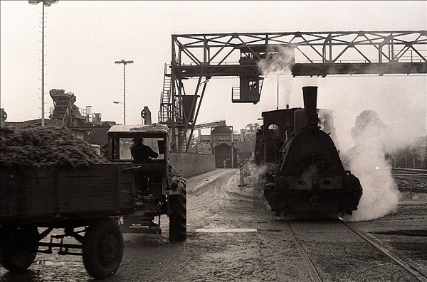 Foto:: Warburger Zuckerfabrik Lok 2 / Warburg / 04.11.1978 (Foto,Fotos,Bilder,Bild,)