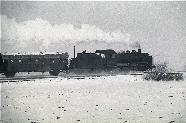 Foto:: EK 24 009 / Muenster / 27.01.1980 (Foto,Fotos,Bilder,Bild,)