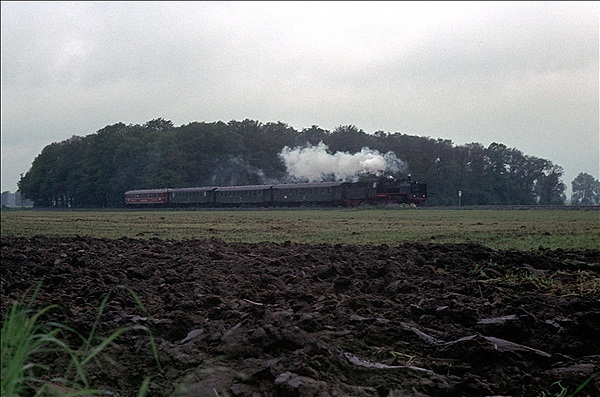 Foto:: 24 083 / Muenster - Ruethen / 24.05.1981 (Foto,Fotos,Bilder,Bild,)