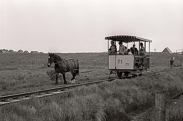 Foto:: Wagen 21 / Spiekeroog / 30.05.1981 (Foto,Fotos,Bilder,Bild,)