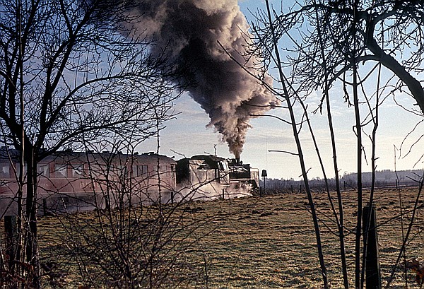 Foto:: EK 24 009 / Enniger / 31.01.1982 (Foto,Fotos,Bilder,Bild,)