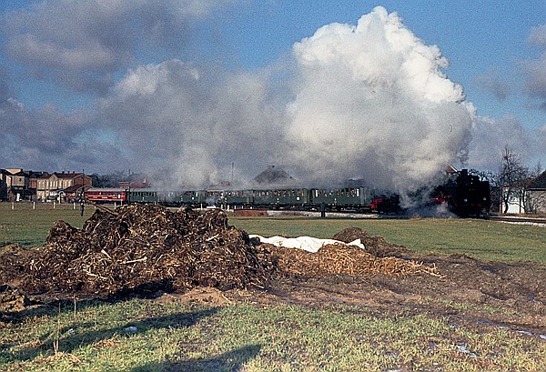 Foto:: EK 24 009 + 80 039 / Wadersloh / 31.01.1982 (Foto,Fotos,Bilder,Bild,)