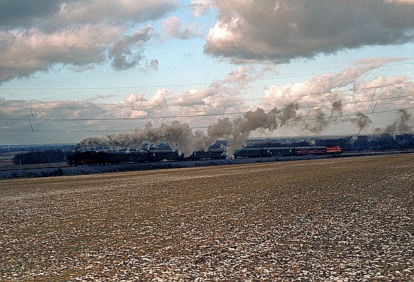 Foto:: EK 24 009 + WLE VL 0671 / Lippstadt / 31.01.1982 (Foto,Fotos,Bilder,Bild,)