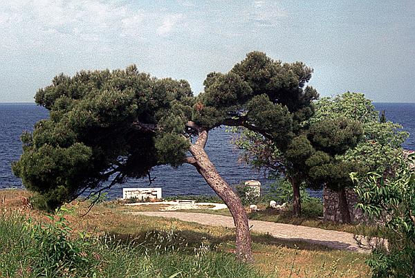 Foto:: Urlaub / Rovinj / Mai 1983 (Foto,Fotos,Bilder,Bild,)