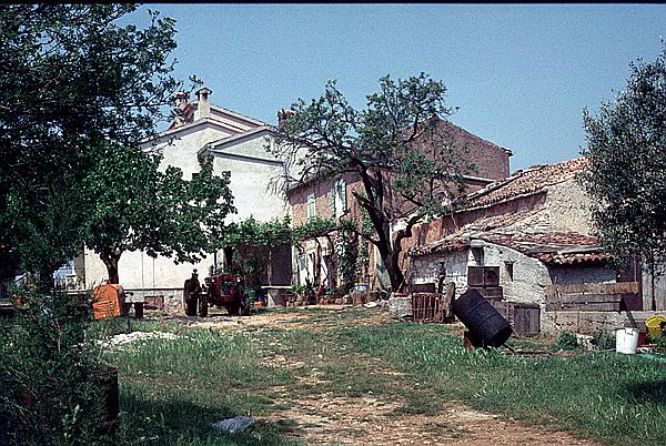 Foto:: Urlaub / Rovinj / Mai 1983 (Foto,Fotos,Bilder,Bild,)