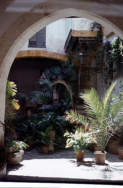 Foto:: Rundgang / Palma de Mallorca / Mai 1984 (Foto,Fotos,Bilder,Bild,)