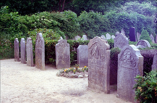 Foto:: Amrum / Juni 1985 (Foto,Fotos,Bilder,Bild,)