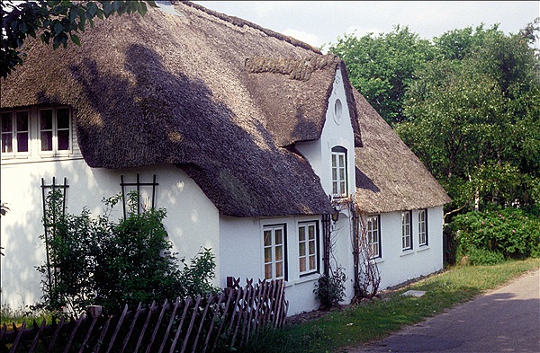 Foto:: Amrum / Juni 1985 (Foto,Fotos,Bilder,Bild,)