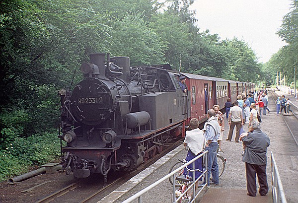 Foto:: DR 99 2331-9 / Heiligendamm / 23.06.1990 (Foto,Fotos,Bilder,Bild,)