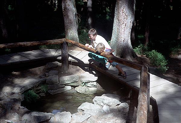 Foto:: Wanderung / Moldauquelle / September 1991 (Foto,Fotos,Bilder,Bild,)