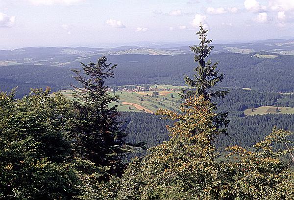 Foto:: Wanderung / Mitterfirmiansreut / September 1991 (Foto,Fotos,Bilder,Bild,)