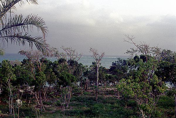 Foto:: Umgebung / Guardalavaca / 28.04.1992 (Foto,Fotos,Bilder,Bild,)
