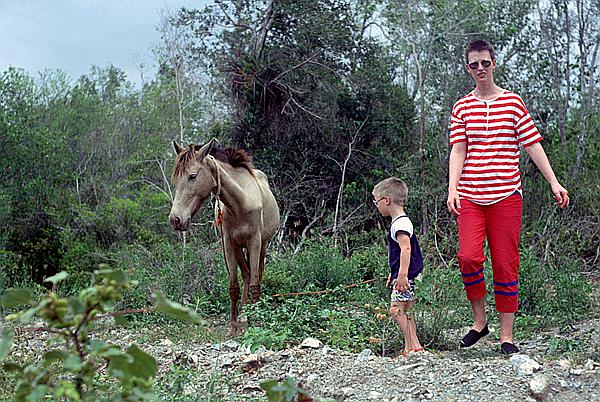 Foto:: Umgebung / Guardalavaca / 28.04.1992 (Foto,Fotos,Bilder,Bild,)