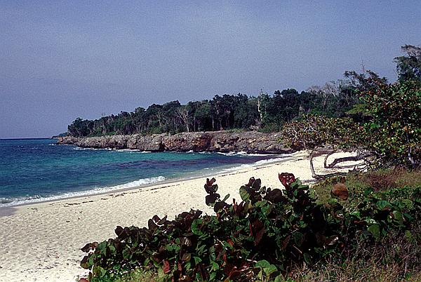 Foto:: Spaziergang / Guardalavaca / 29.04.1992 (Foto,Fotos,Bilder,Bild,)