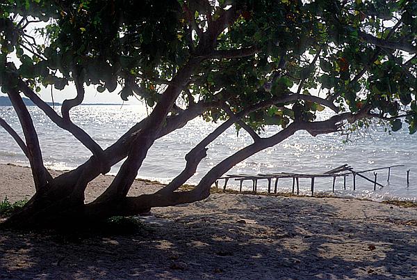 Foto:: Spaziergang / Guardalavaca / 29.04.1992 (Foto,Fotos,Bilder,Bild,)