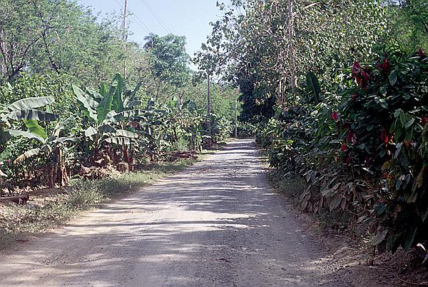 Foto:: Tour nach / Baracoa / 03./04.051992 (Foto,Fotos,Bilder,Bild,)