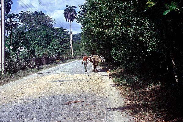 Foto:: Tour nach / Baracoa / 03./04.051992 (Foto,Fotos,Bilder,Bild,)
