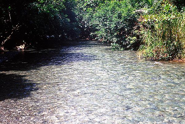 Foto:: Tour nach / Baracoa / 03./04.051992 (Foto,Fotos,Bilder,Bild,)