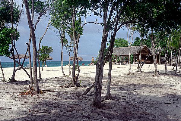 Foto:: Strand / Guardalavaca / 11.05.1992 (Foto,Fotos,Bilder,Bild,)