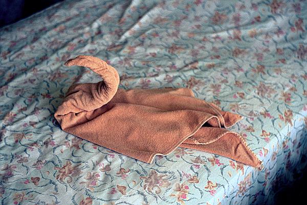 Foto:: Handttuch / Guardalavaca / 11.05.1992 (Foto,Fotos,Bilder,Bild,)