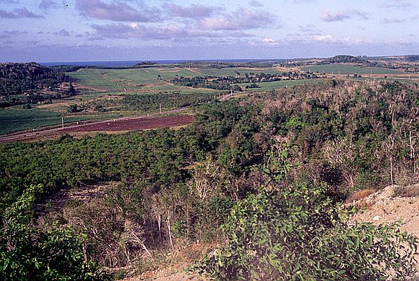 Foto:: Tour / Cayo Saetia / 13.05.1992 (Foto,Fotos,Bilder,Bild,)