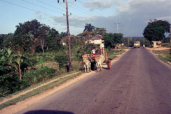 Foto:: Tour / Cayo Saetia / 13.05.1992 (Foto,Fotos,Bilder,Bild,)