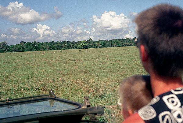 Foto:: Tour / Cayo Saetia / 13.05.1992 (Foto,Fotos,Bilder,Bild,)