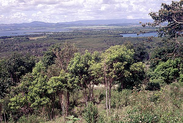 Foto:: Tour / Cayo Saetia / 13.05.1992 (Foto,Fotos,Bilder,Bild,)