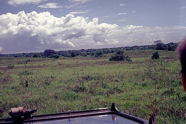 Foto:: Tour / Cayo Saetia / 13.05.1992 (Foto,Fotos,Bilder,Bild,)