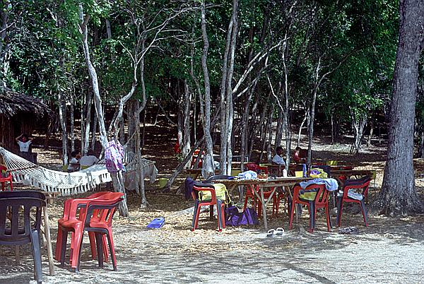 Foto:: Tour / Cayo Saetia / 13.05.1992 (Foto,Fotos,Bilder,Bild,)
