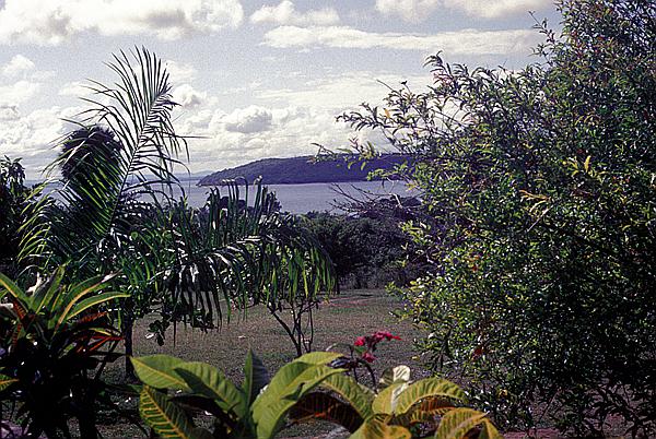 Foto:: Tour / Cayo Saetia / 13.05.1992 (Foto,Fotos,Bilder,Bild,)