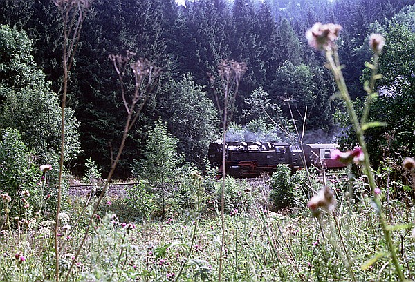Foto:: DR 99 7245-6 / Eisfelder Talmuehle / 01.08.1992 (Foto,Fotos,Bilder,Bild,)