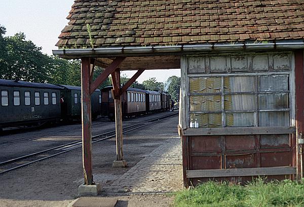 Foto:: DR 99 4633-6 (53 Mh) / Putbus / 26.06.1993 (Foto,Fotos,Bilder,Bild,)