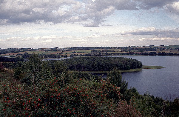 Foto:: Kutschfahrt / Mragowo / September 1994 (Foto,Fotos,Bilder,Bild,)
